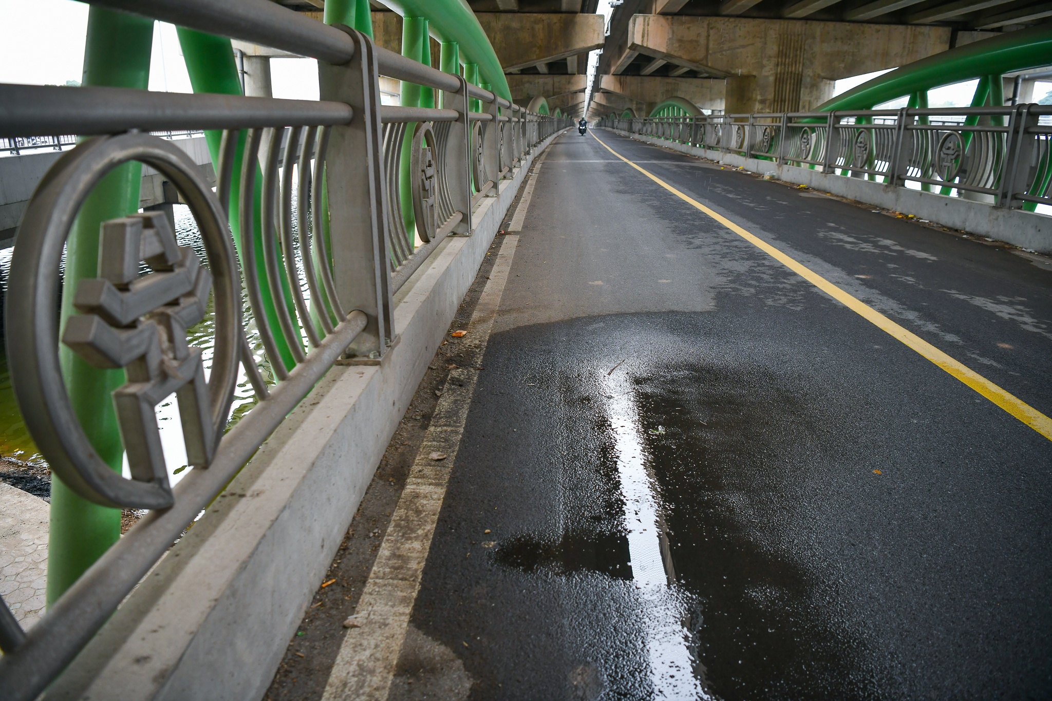 Cau vuot ho Linh Dam anh 5