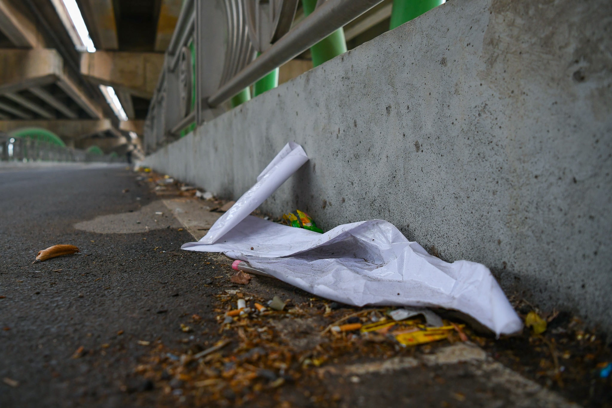 Cau vuot ho Linh Dam anh 6