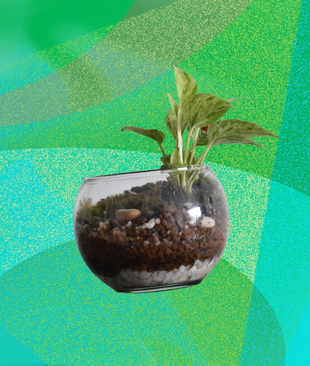 Do trang tri noi that anh 12