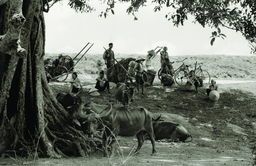 Ha Noi bao cap,  sach anh anh 4