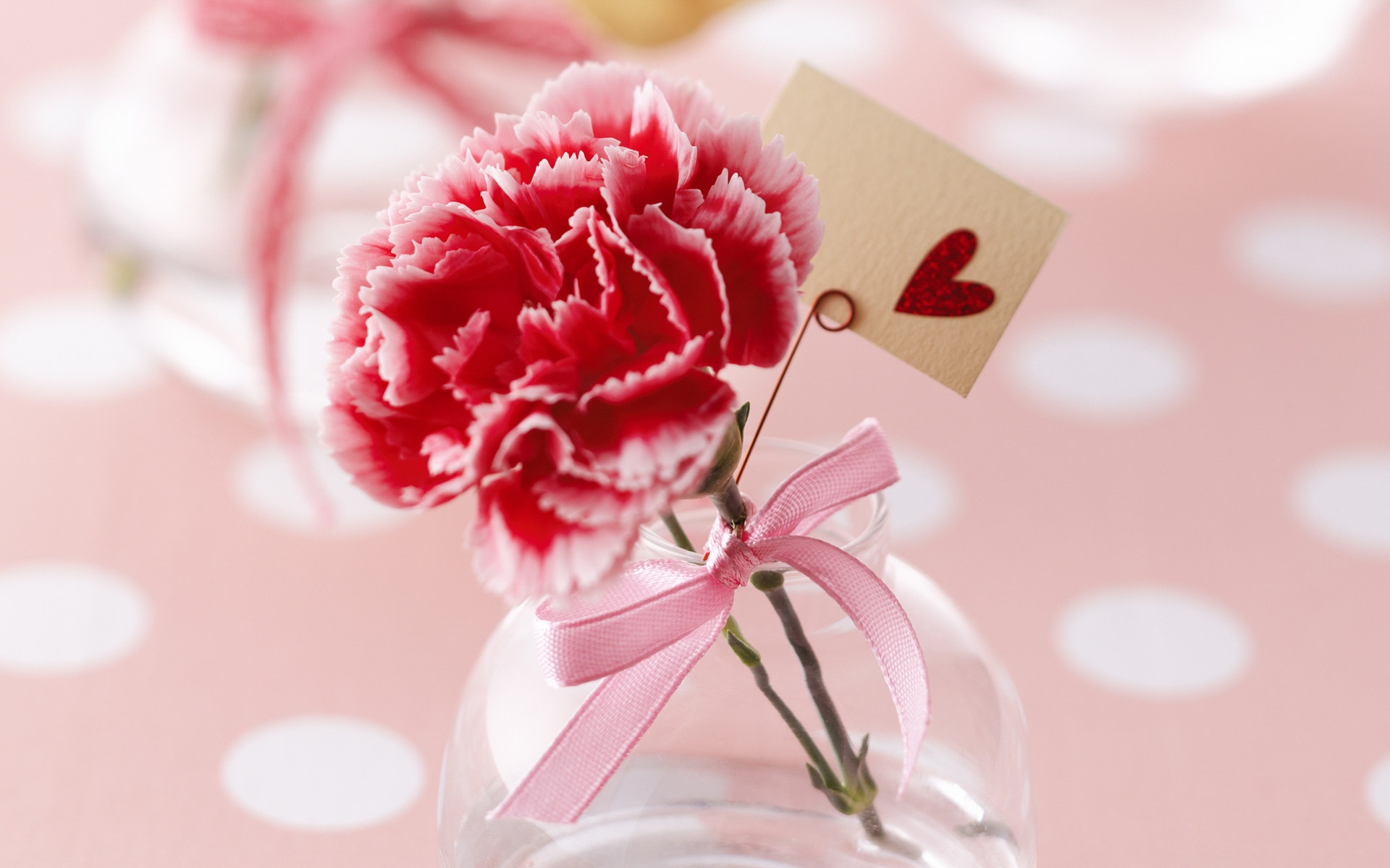 Chu nhat cua ban (20/10) hinh anh