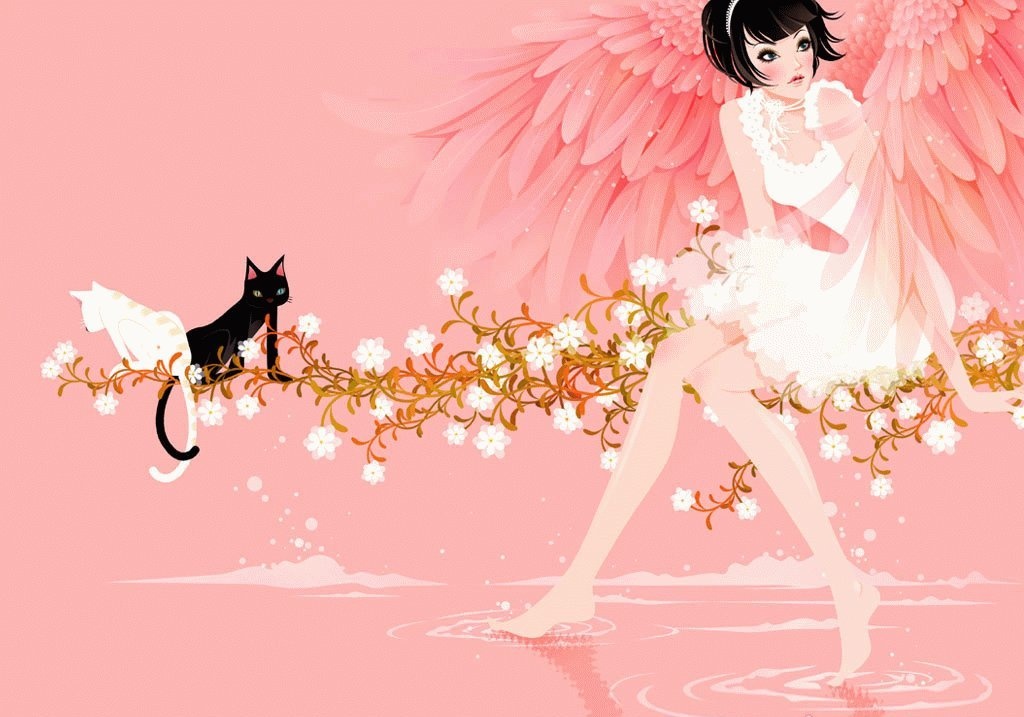 Thu nam cua ban (5/12) hinh anh