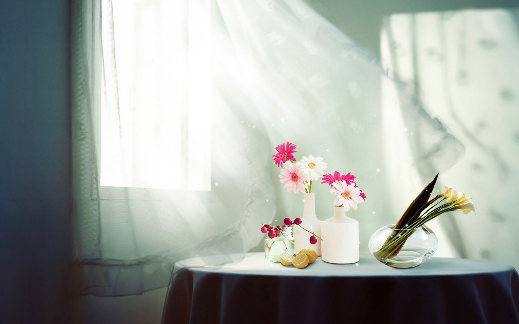 Thu bay cua ban (28/12) hinh anh