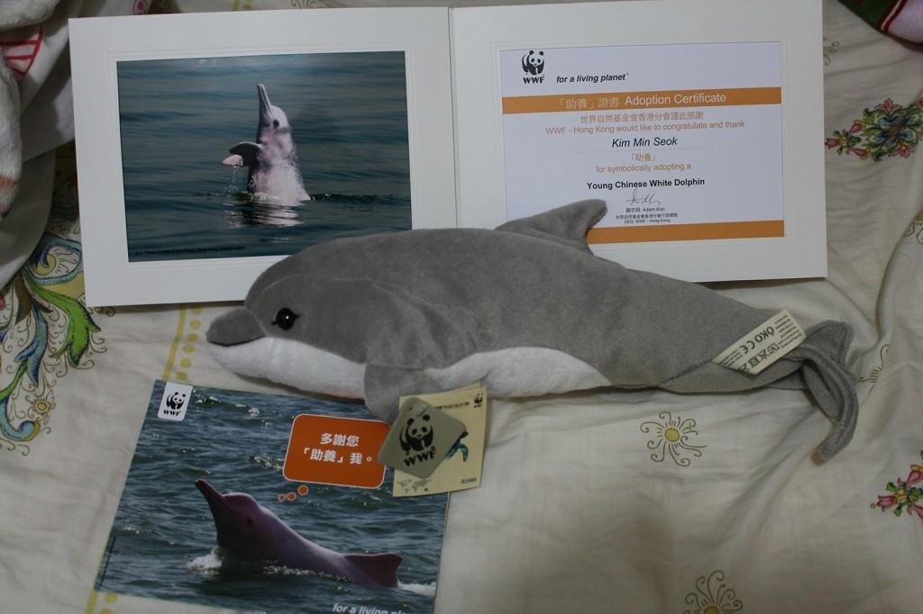 Một fansite ở Hong Kong nhận nuôi một chú cá heo thật dưới danh nghĩa Xiumin. Ảnh: 