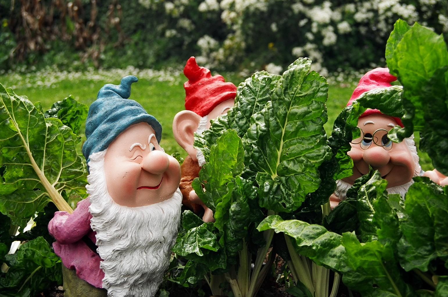 Nhân Mã chăm sóc vườn cây.