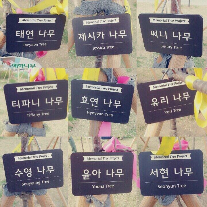 9 thành viên có cây đặt tên riêng của mình. Ảnh: snsdindo