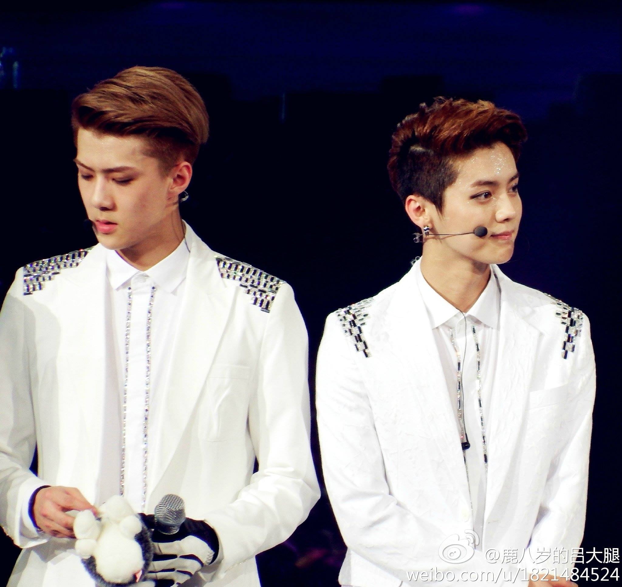 Sehun và Luhan. Ảnh: weibo