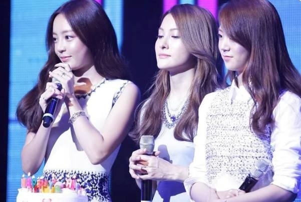 Fan treo bien phan doi nguoi moi vao KARA hinh anh