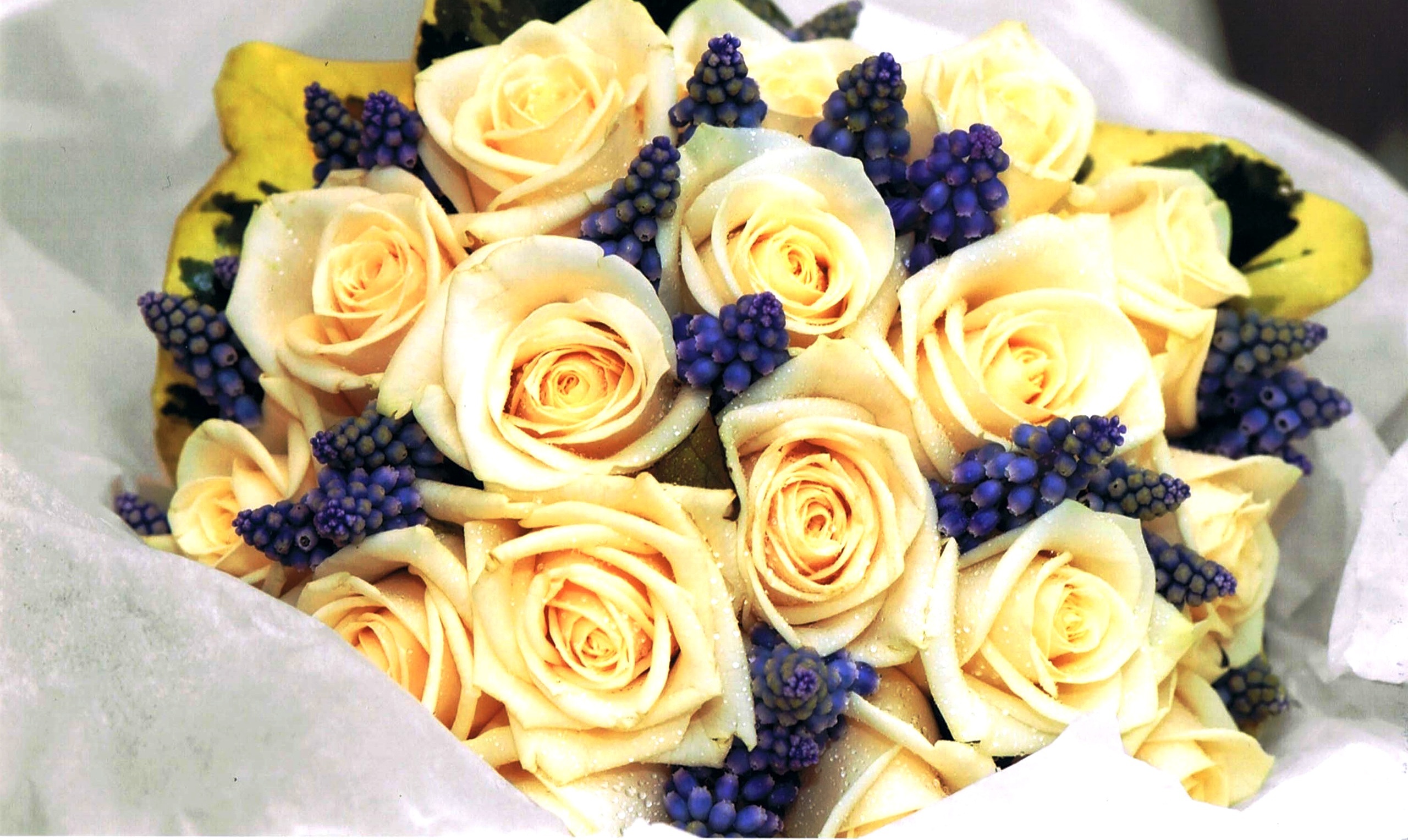 Tuan moi cua ban (2-8/6) hinh anh