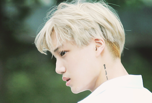 Clip Kai (EXO) noi bay hinh anh