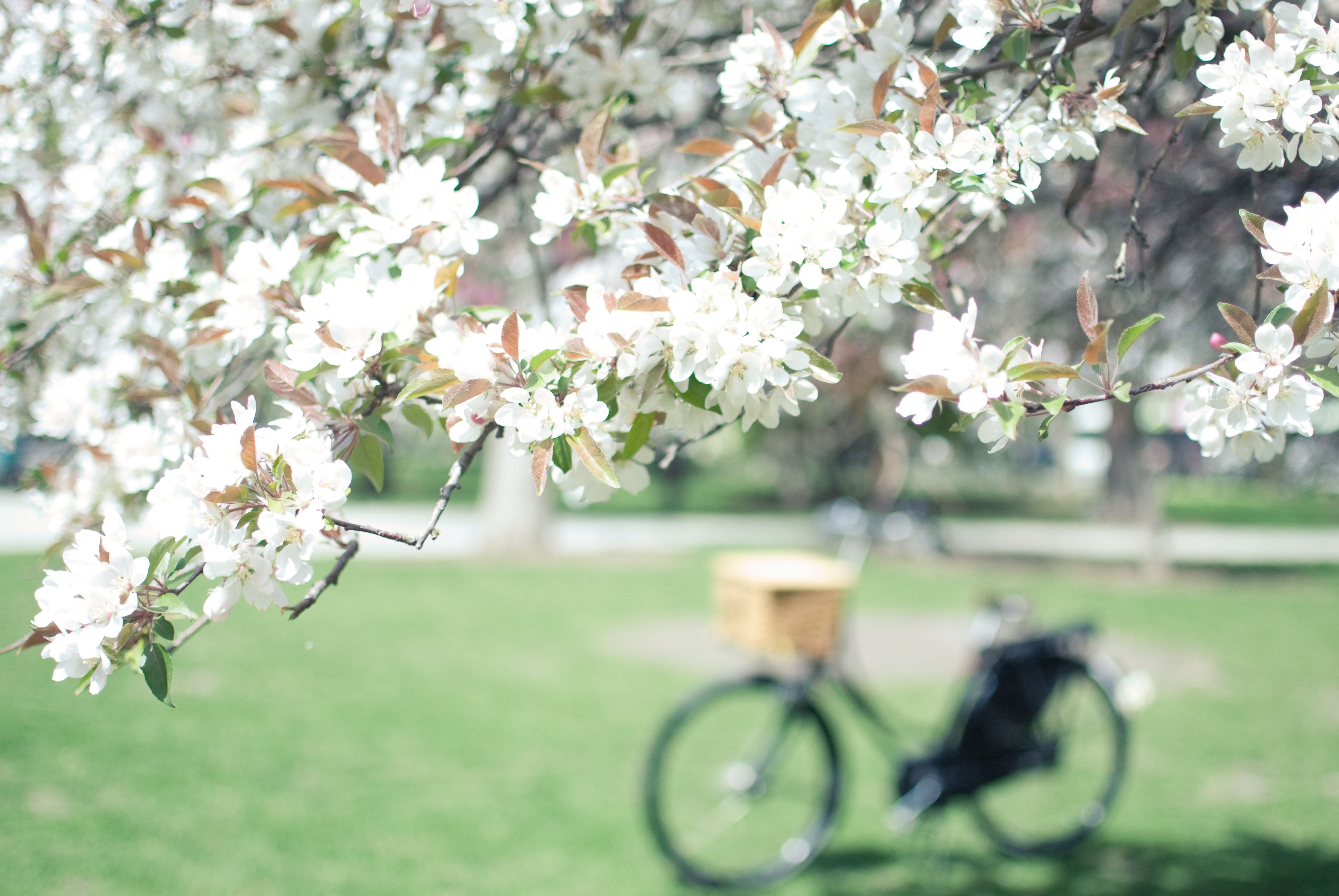 Thu hai cua ban (16/6) hinh anh