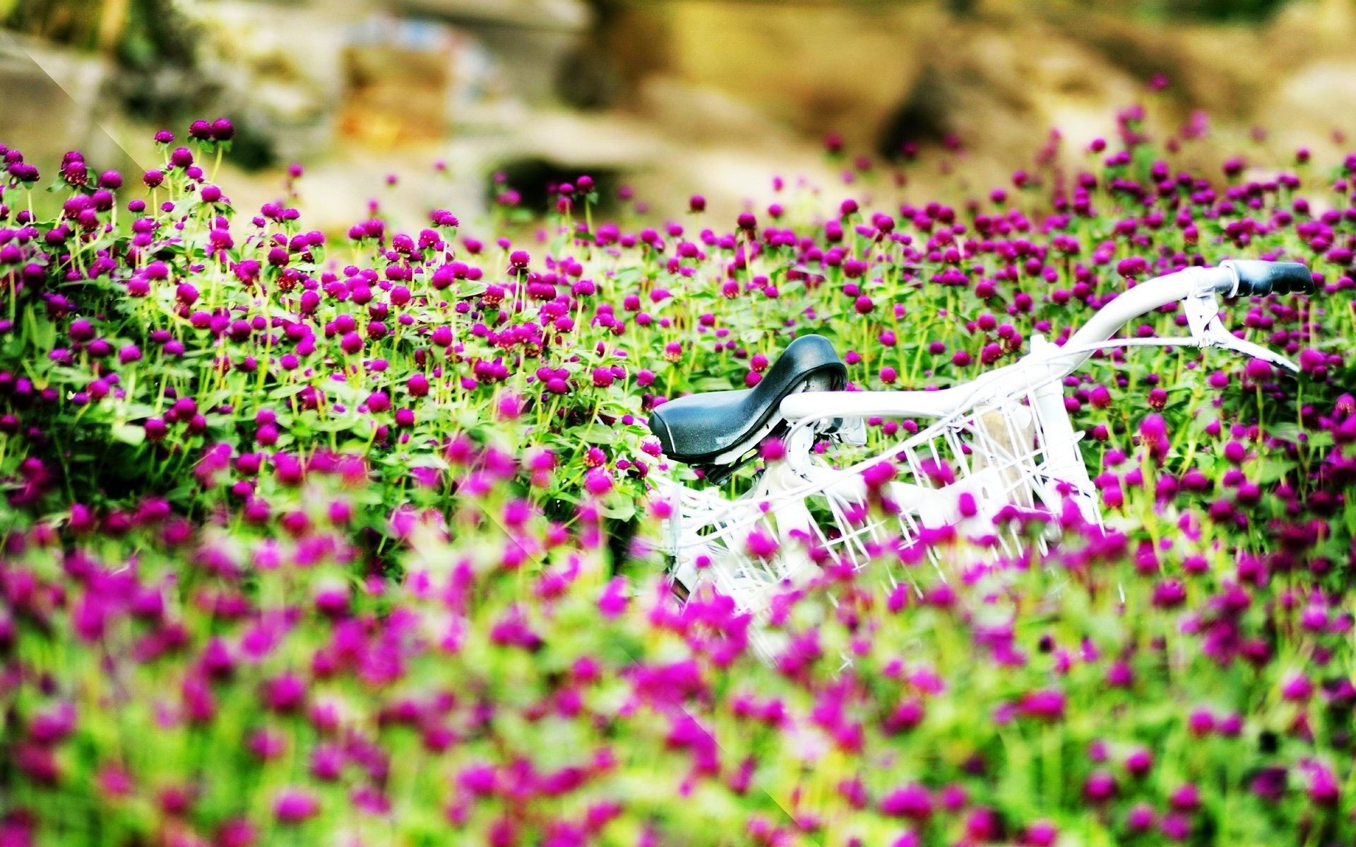 Thu tu cua ban (9/7) hinh anh