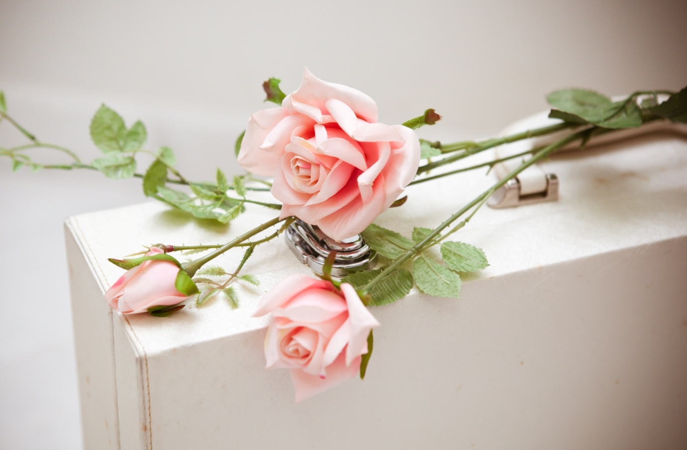 Xử Nữ yêu thích những món đồ xinh xắn.