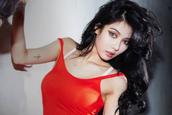 Fan 'boi thuc' voi anh sexy cua SISTAR va HyunA hinh anh
