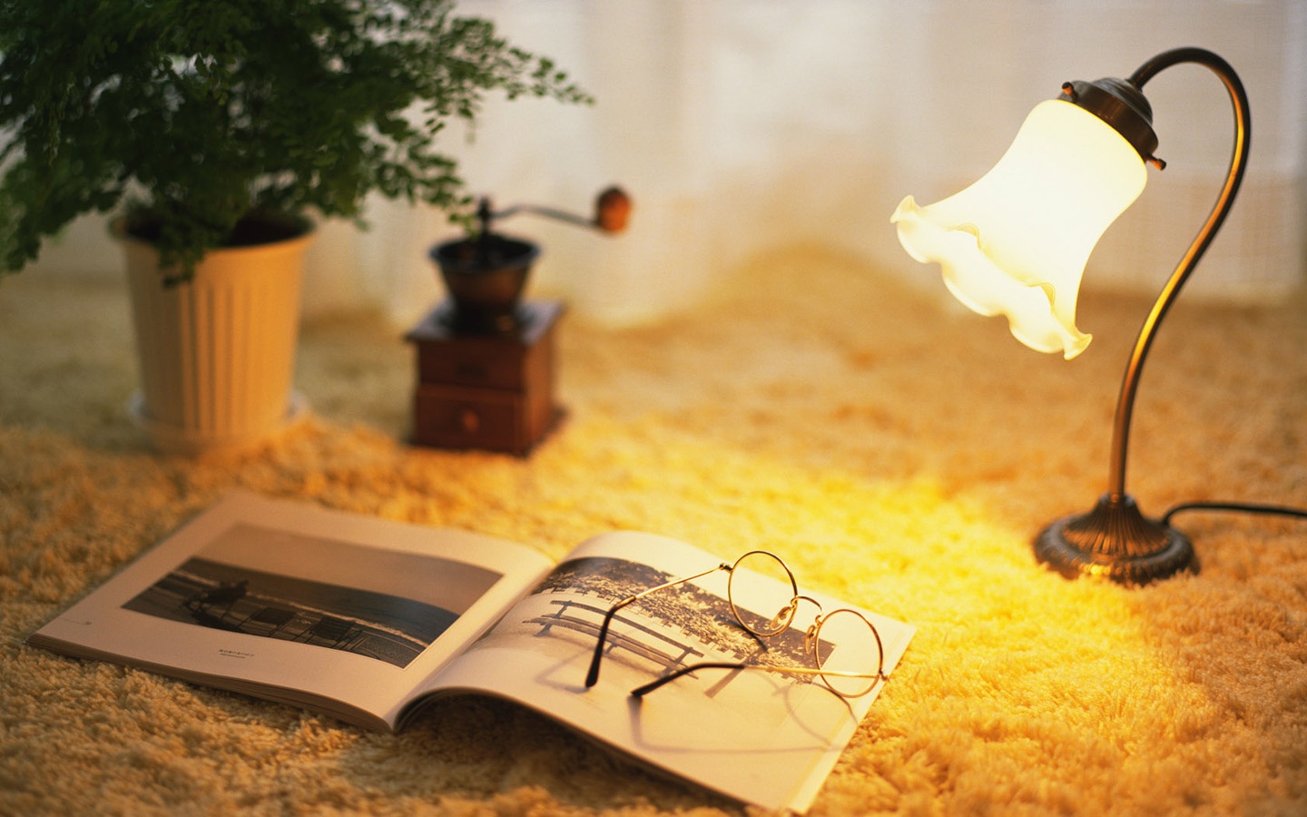 Thu ba cua ban (19/8) hinh anh