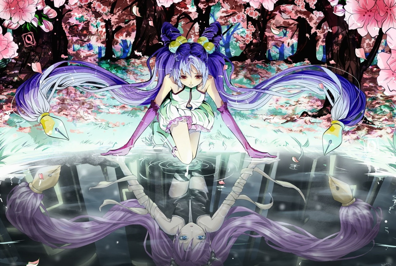 Chu nhat cua ban (24/8) hinh anh