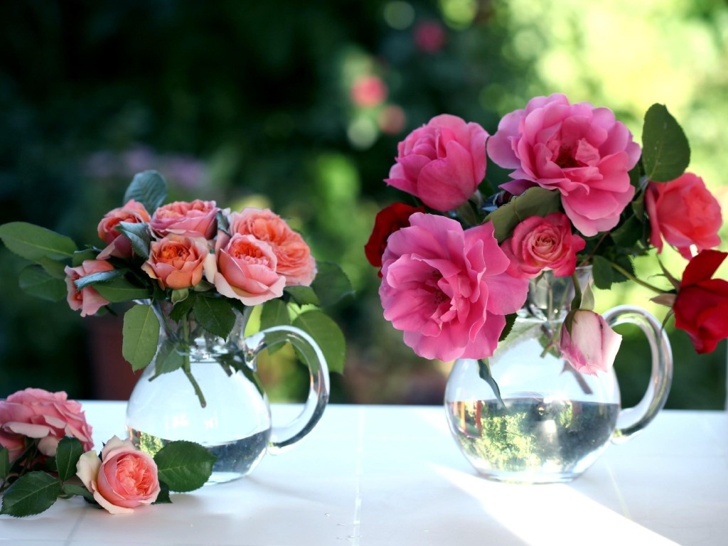 Thu tu cua ban (3/9) hinh anh