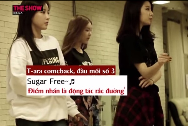 T-ara nha hang tren MTV The Show hinh anh