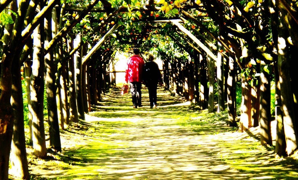 Thu bay cua ban (4/10) hinh anh