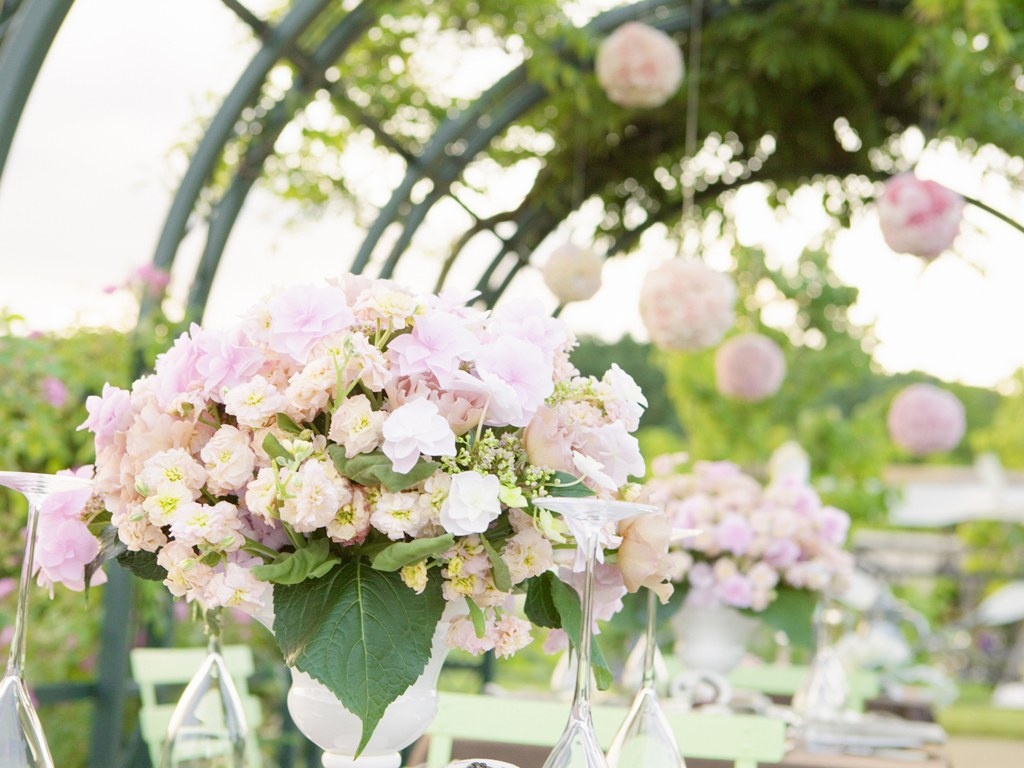 Thu ba cua ban (7/10) hinh anh