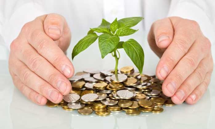 Song Ngư mải mê làm giàu.