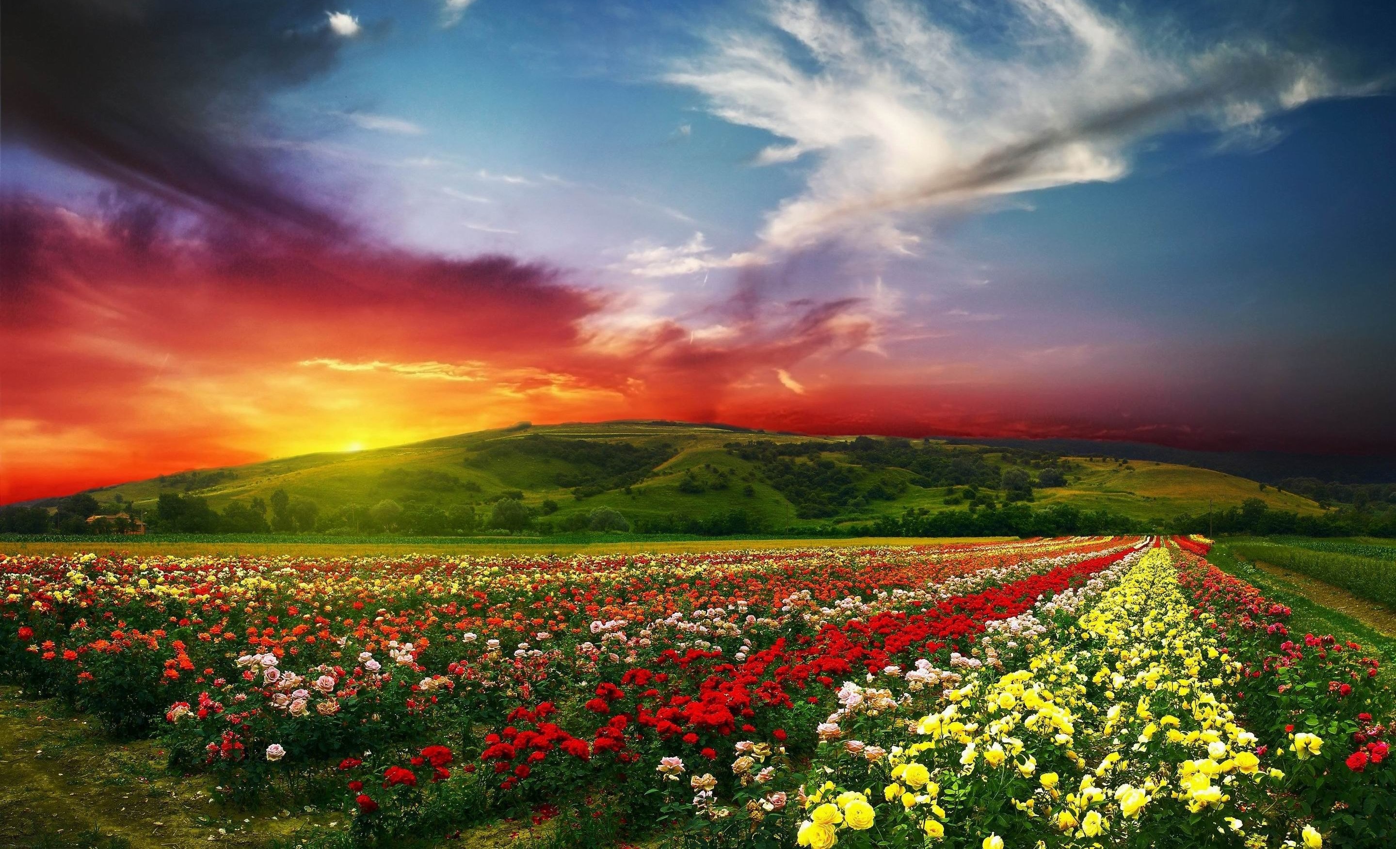 Thu nam cua ban (9/10) hinh anh