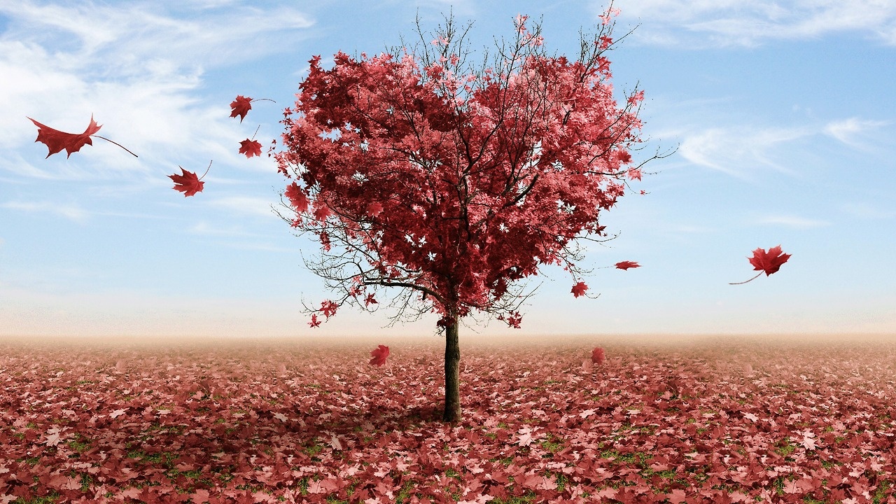 Dương Cưu may mắn trong tình yêu.