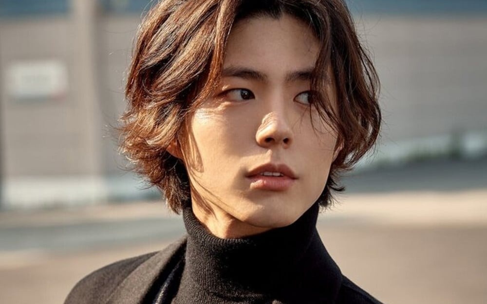 Park Bo Gum chuyen huong lam ca si? hinh anh