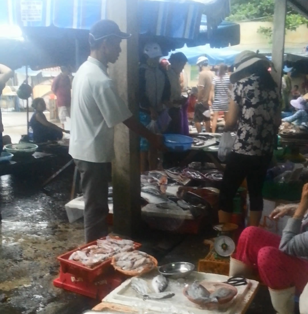 An xin bien tuong nao loan ca cho Da Nang hinh anh