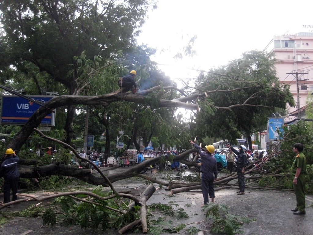 Sai Gon ket cung vi cay xanh nga de taxi hinh anh