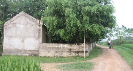 Ngoi lang cu nuoi con '4 chan' la chet hinh anh