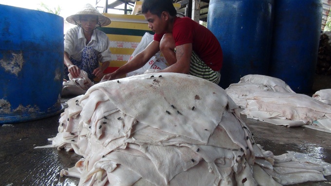 Can canh che bien da heo duoi san nha, day ruoi bu hinh anh