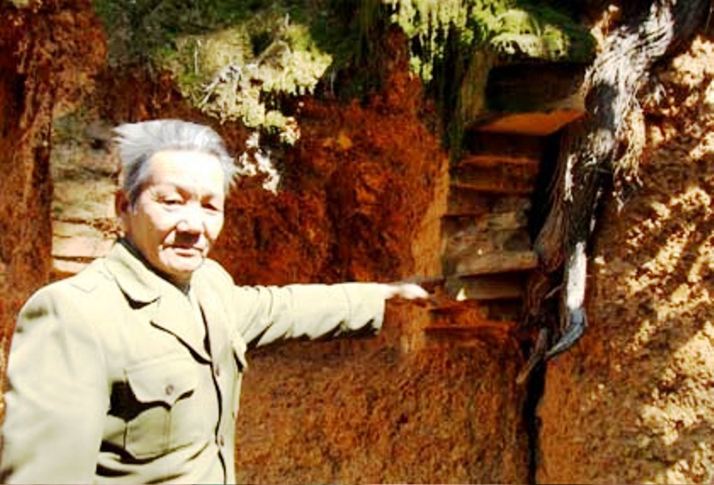 Nguoi chet, ke bi dien sau khi dao mo co san kho bau hinh anh