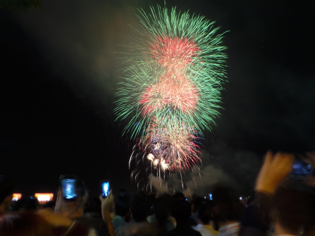 Phao hoa ruc ro dem giao thua tai Sai Gon hinh anh