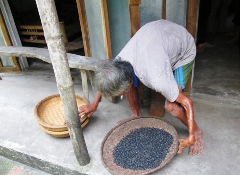 Cu ong mu loa chuc nam lam 'anh sang' cho vo o Quang Nam hinh anh