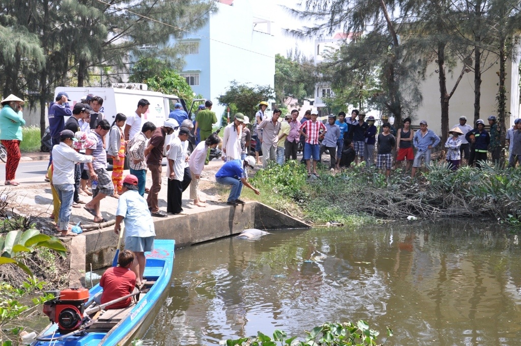 Di cau ca, phat hien thi the dang phan huy trong rung dua hinh anh