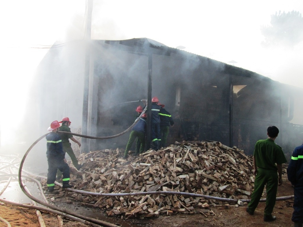 Chay rui xuong go o Gia Lai hinh anh