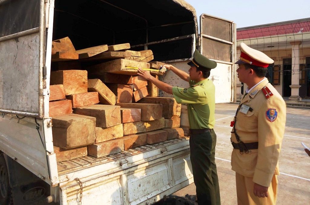 CSGT Quang Binh lien tuc bat nhieu o to van chuyen go lau hinh anh