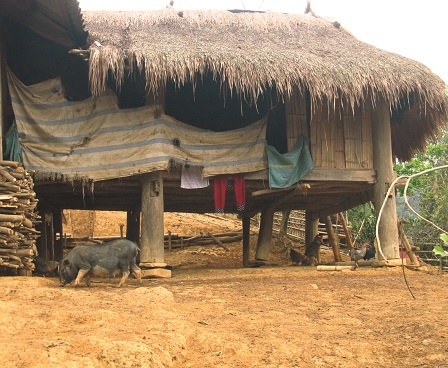 Ngôi nhà đơn sơ của bà Động.