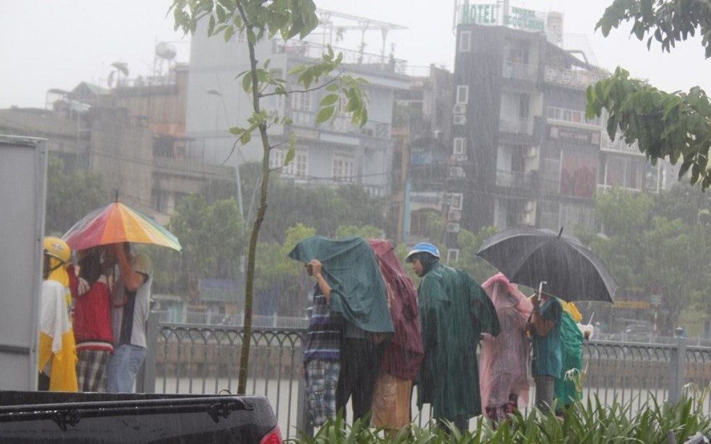 Nhưng vẫn có nhiều người khác dùng dù và áo mưa để tiếp tục đứng lực lượng cứu hộ lặn tìm thi thể bà Diên.