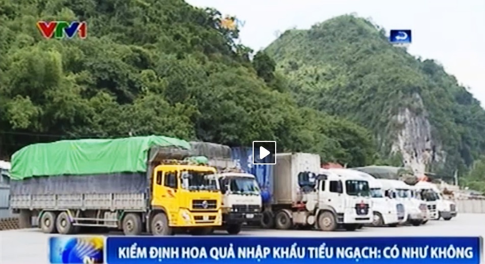 Rau qua Trung Quoc doc hai van de dang lot luoi kiem dinh hinh anh