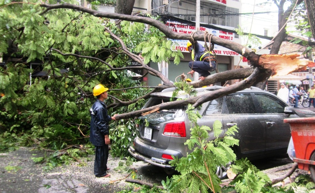 Nhanh cay gay de trung hai nguoi di xe may hinh anh