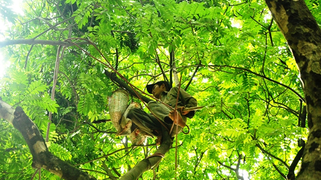 'Nguoi nhen' du day hai sau o Thu do hinh anh