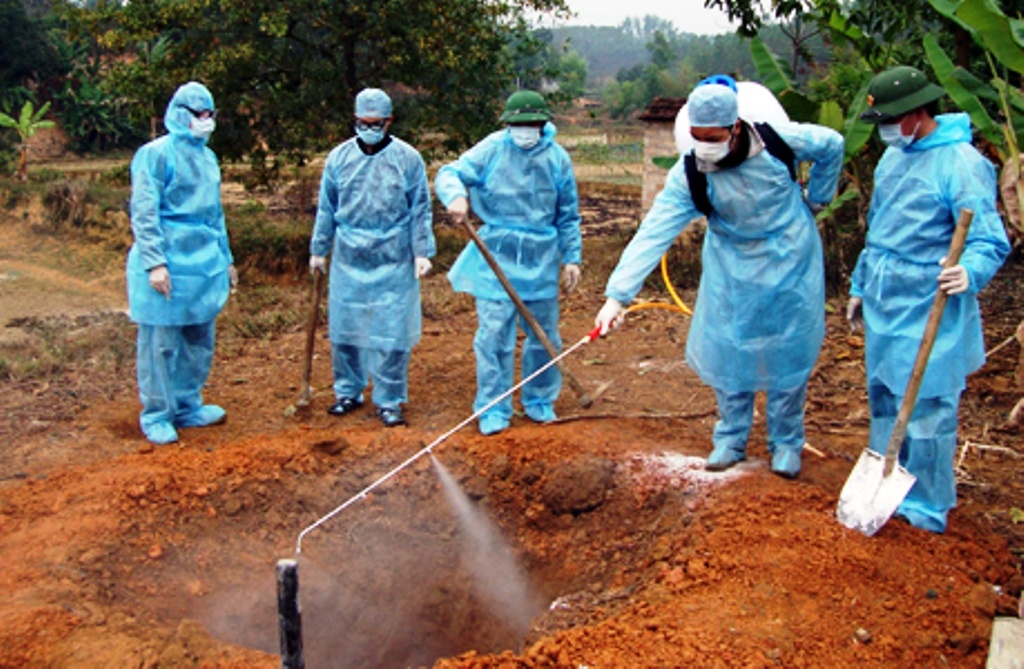 Canh giac dich hach xam nhap vao Viet Nam hinh anh