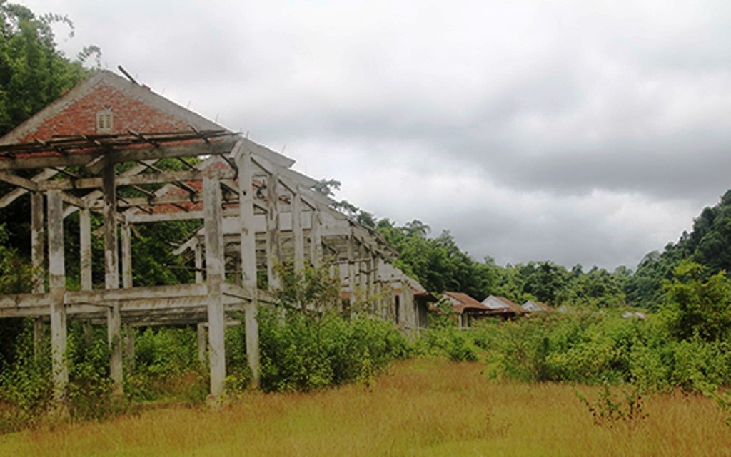 Nghe An: Toc nguoi ngu ngoi van song giua rung hinh anh