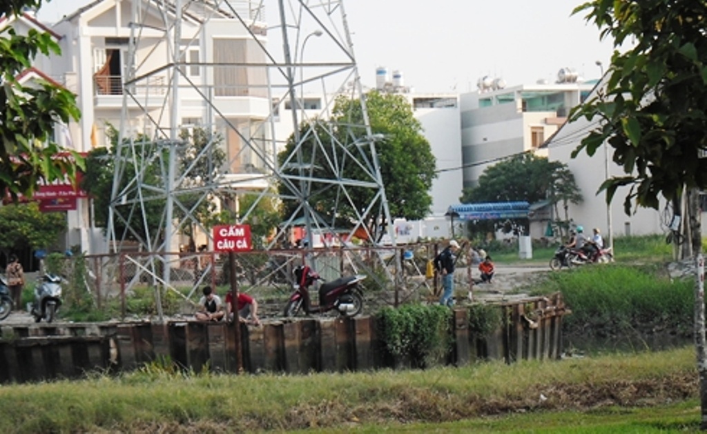 Tan diet ca duoi chan tu than o Sai Gon hinh anh