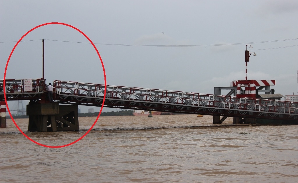 Nhip dan xuong pha Cat Lai bi song danh bung hinh anh