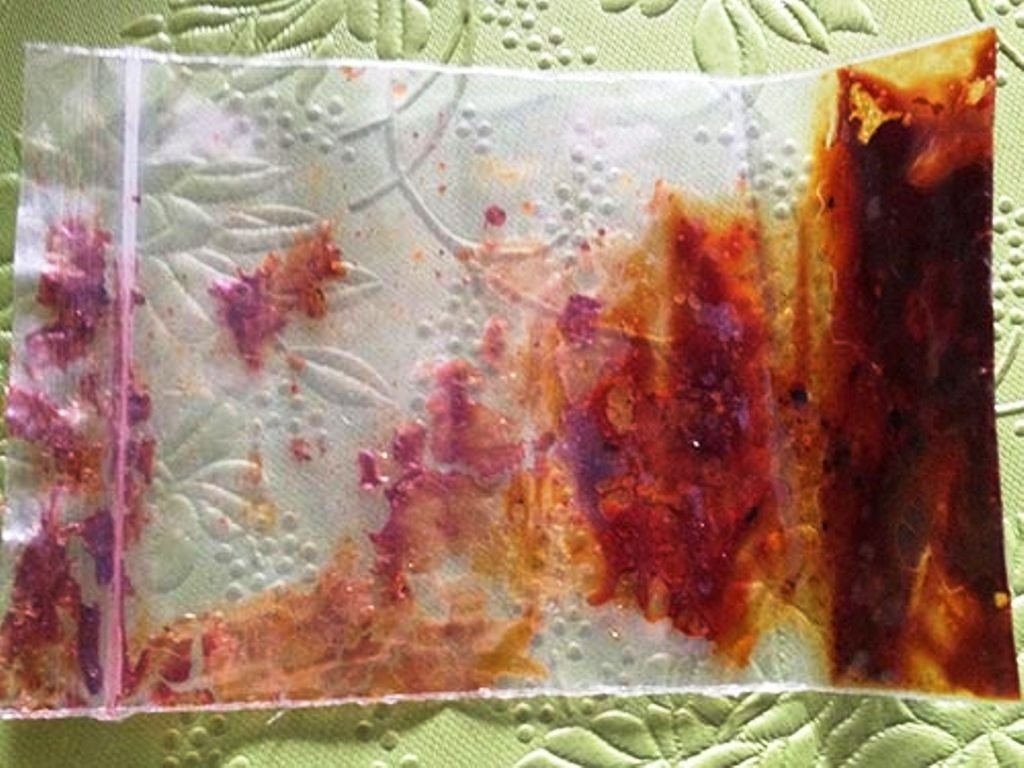 Nhựa cây si đỏ mà theo ông Bình có tác dụng “thay máu người bị ung thư”.