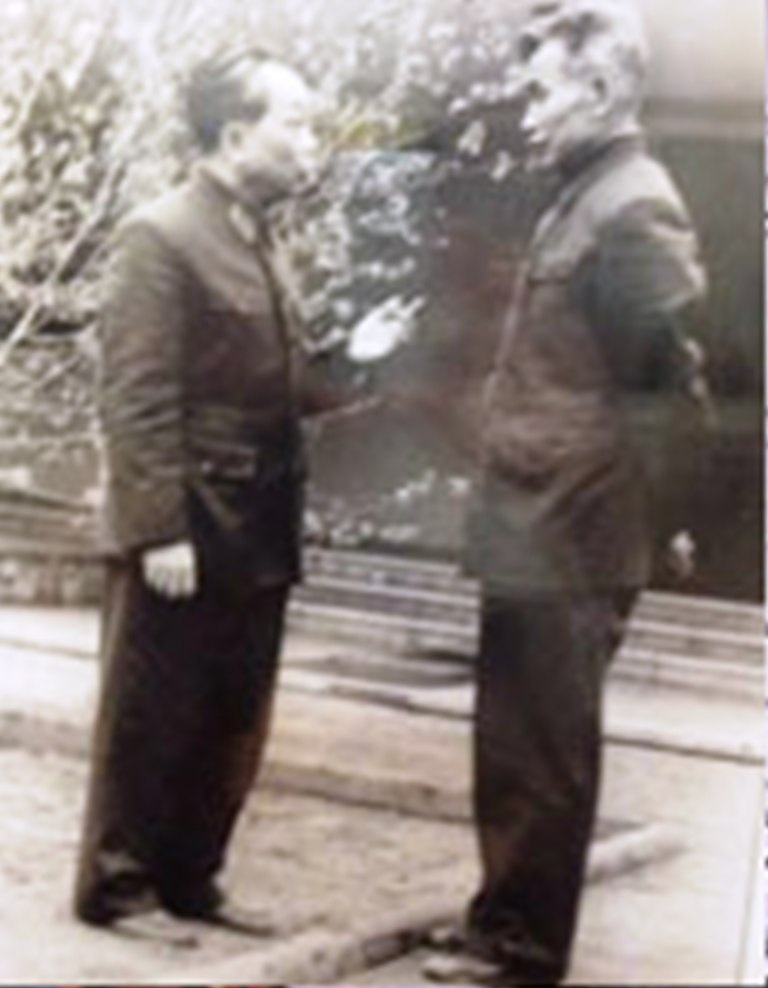 Đại tướng Võ Nguyên Giáp trong một lần bàn việc quân với Đại tướng Lê Trọng Tấn