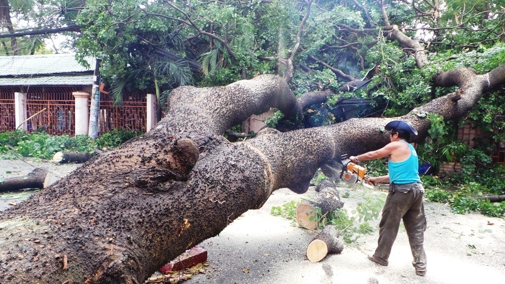 Gio loc quat do co thu vao nha hang, thuc khach thao chay hinh anh